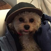Randal Lavery's photo