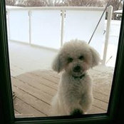 Xiao Lu's photo
