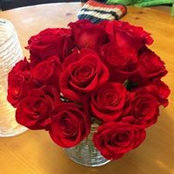 Dawn Jermstad's photo