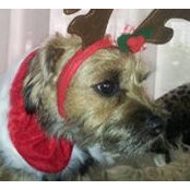 Stephanie Madders's photo