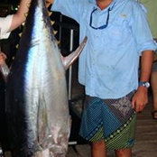Photo de David R.Cattán