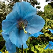 Jane Woodstrover's photo