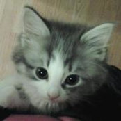 Julie Glenn Sowerby's photo