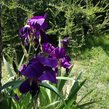 GIARDINO PRIVATO
