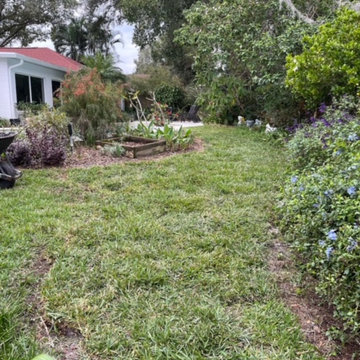 Sod Delivery & Installation