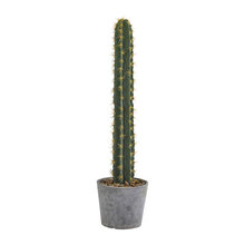 Wish List