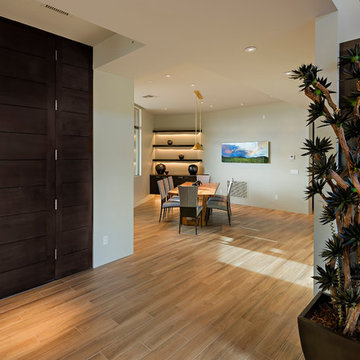 Terry Kilbane / Desert Modern / Saguaro Forest / Desert Mountain