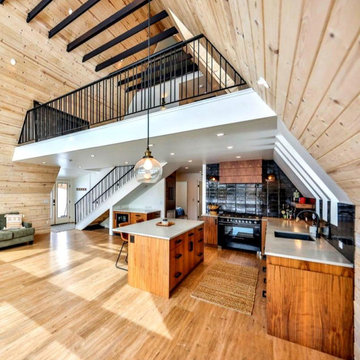 Colorado Mountain A- Frame