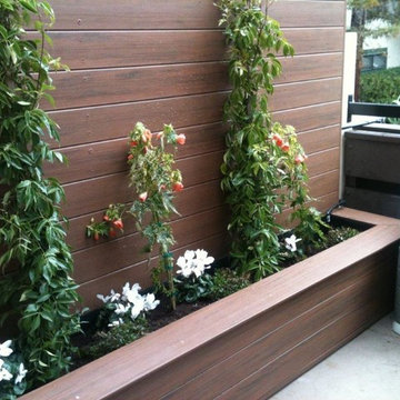 Outdoor Living