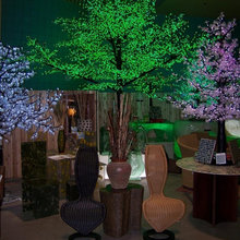 LED Lighting