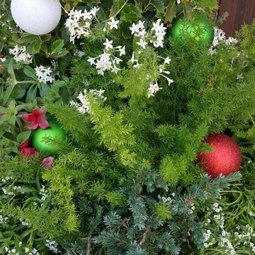 Happy Holiday Containers