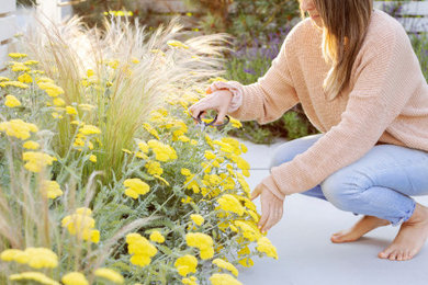Design ideas for a contemporary landscaping in Vancouver.