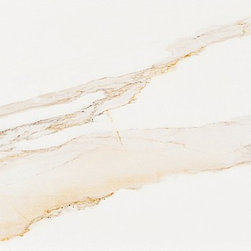 Stone Look Tiles - Calacata Gold - Tile