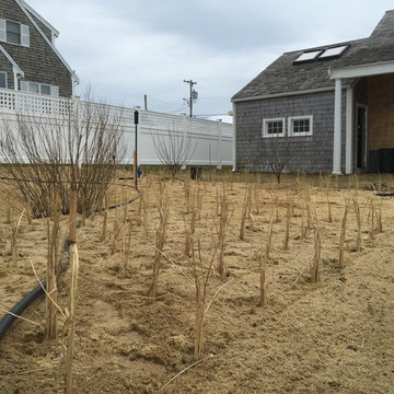 Cape Cod Coastal/Bulkhead Restoration