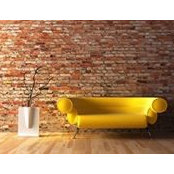 Rasa Arquitectoss billede