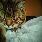 Ana Maria's photo