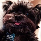 Teddy Mullins's photo