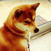 Foto de Vivian Jang