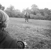 Aude Coudray's photo