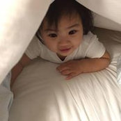 Molly Phamさんの写真