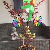 Foto de Brigitte Pgt

