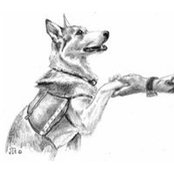 Janet Tyrrell's photo