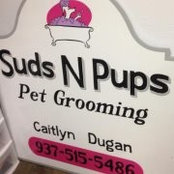 Suds Pups's photo