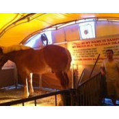 Sam Huang's photo