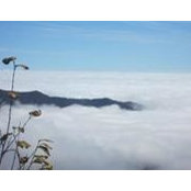 Mj Lindholm's photo