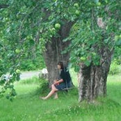 Sandra Bunting's photo