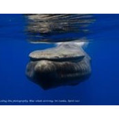 Keding Zhu's photo