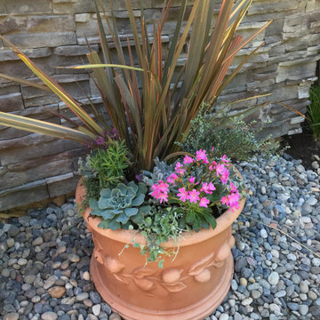 Mediterranean Garden in Tsawwassen