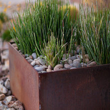 51 DS - Landscape Inspo.