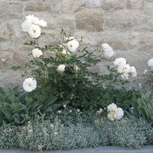 Planting Combos