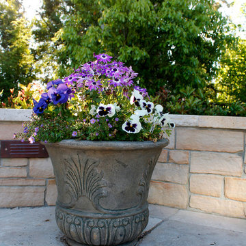 Potted Plants
