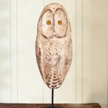 Owls