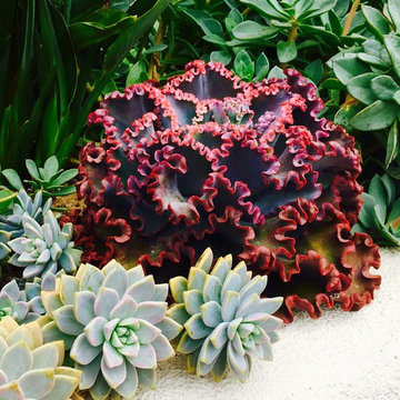 Design- Coastal, Huntington Beach, CA