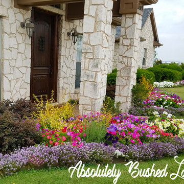 Front Yard Landscaping Project in Prosper