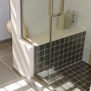 Potomac master bath