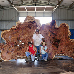 Live Edge Slabs - Mixed Media Art