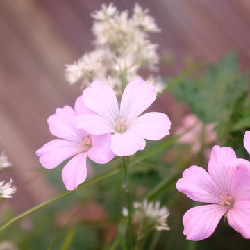 Gartenterrasse München
