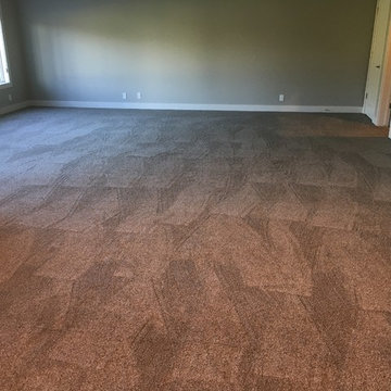 Carpet Selection and Install