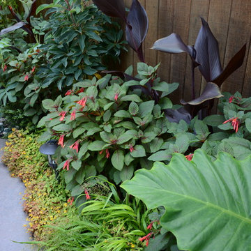 Poolside Garden and Containers