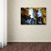 Philippe Hugonnard 'Waterfalls' Canvas Art, 47"x30"