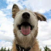 Valerie A Molnar's photo