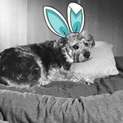 Claire Tymon's photo