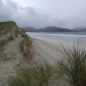 Jan McLaughlin-Muirhead's photo