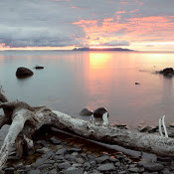 Susan Dykstra's photo