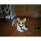 Rosemary DeLeon's photo