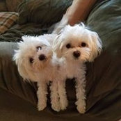 Michael N Tana Cecere's photo